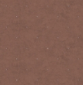 2305 Tapete