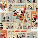 70-242 Mickey Vintage Episode tapetes