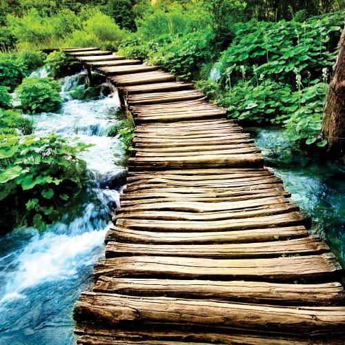 FL-170-003 Wooden pedestrian bridge