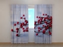 Photo curtains Xmas Decoration