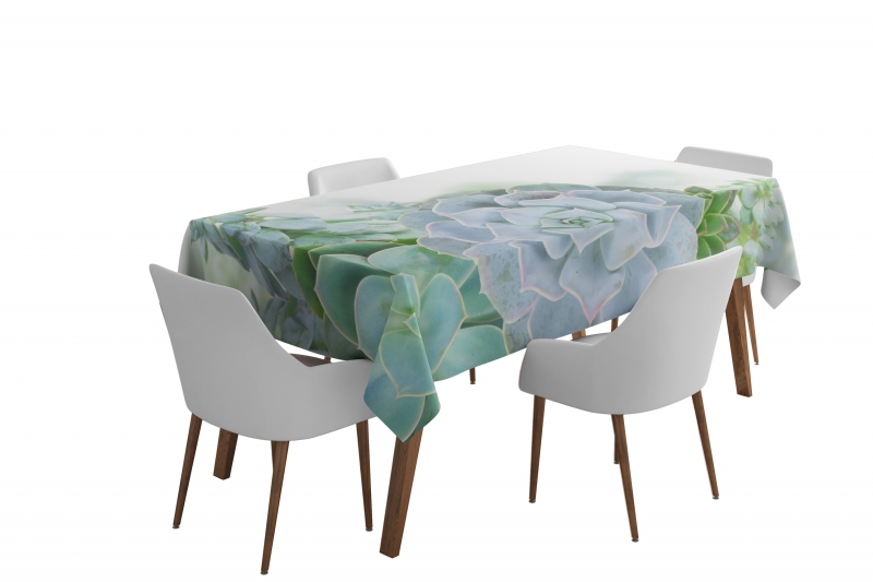 Tablecloth Green Succulent Plants