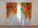 Photo curtains Orange Roses