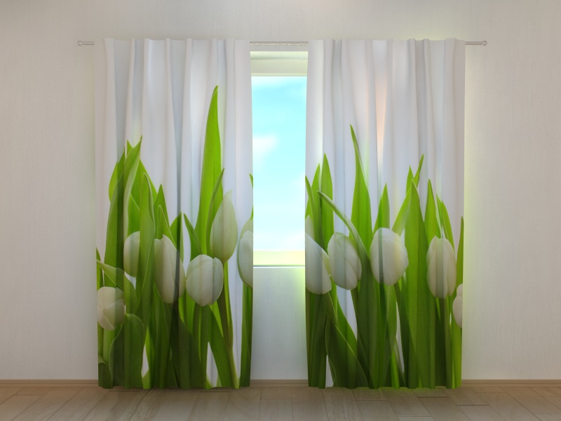 Photo curtains White Tulips