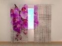 Photo curtains Orchids and Tree 2