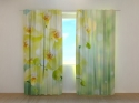 Photo curtains Beautiful Lemon Orchids