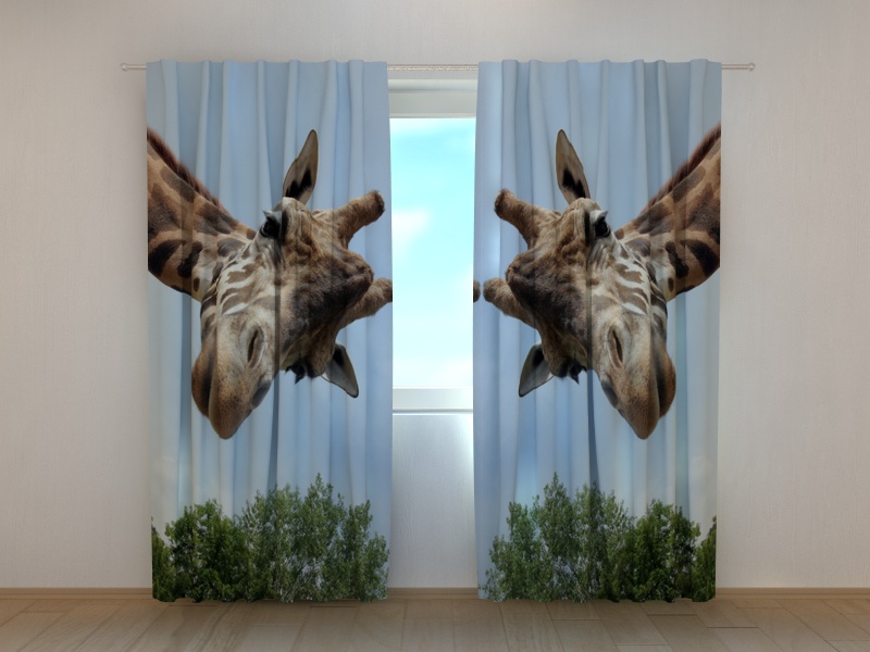 Photo curtains Giraffe