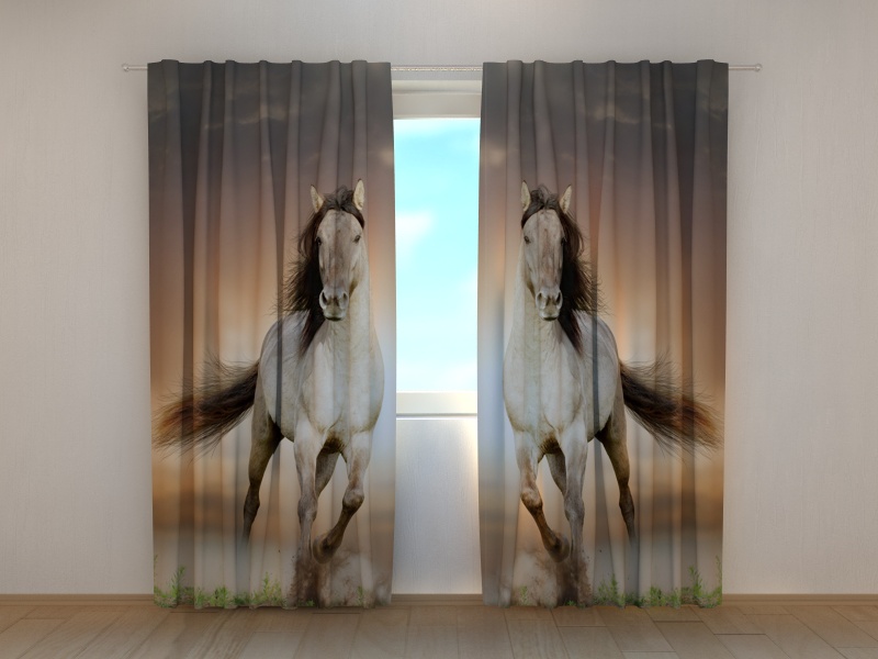 Photo curtains Two Horses