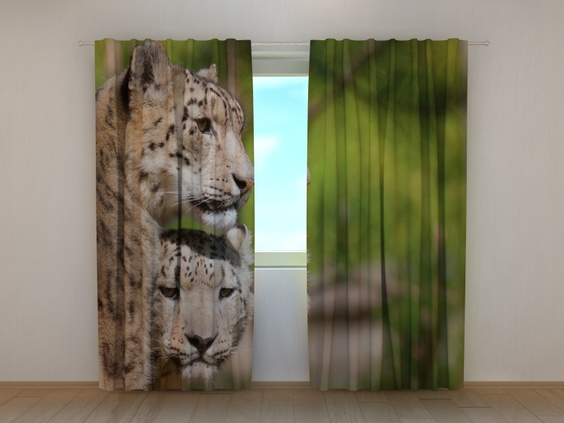Photo curtains Two Leopards