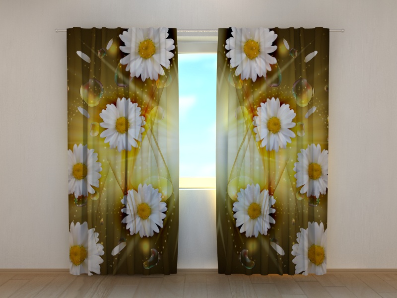 Photo curtains Abstract Chamomile Flowers