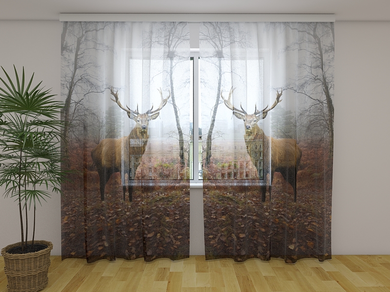 Photo curtains Deer in the Forest