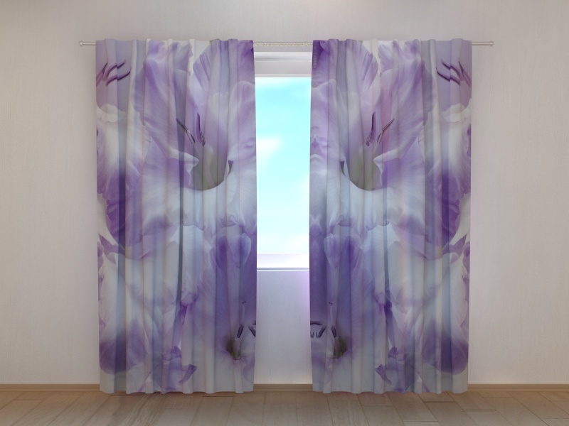 Photo curtains Gladioli