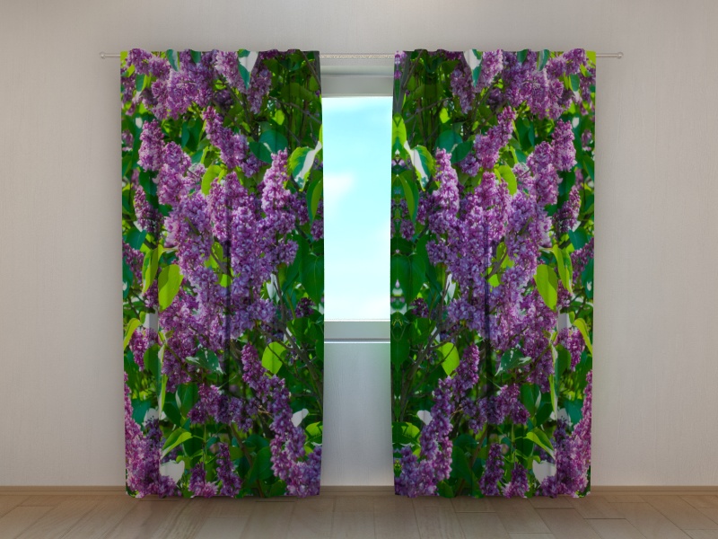 Photo curtains Lilac 1