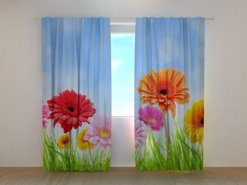 Photo curtains Bright Gerberas
