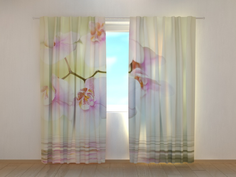 Photo curtains White Orchid 2