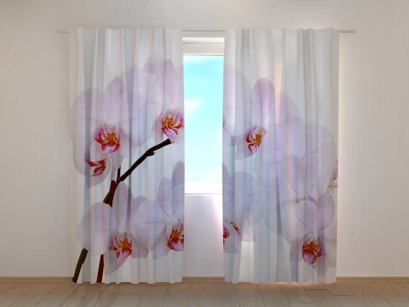 Photo curtains Snow-white Orchid