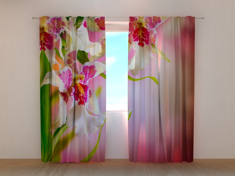 Photo curtains Mottle Orchids