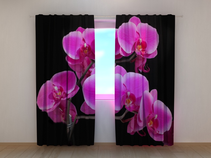 Photo curtains Orchid Twig