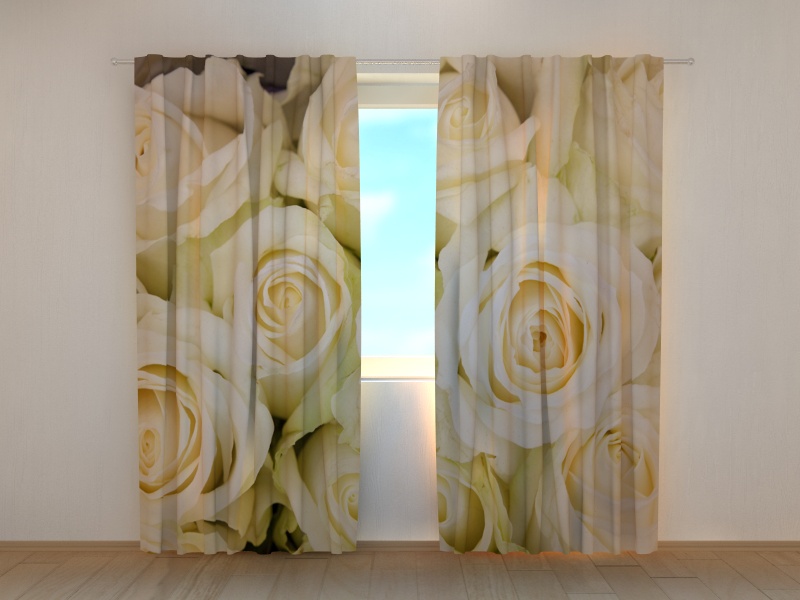 Photo curtains Champagne Roses