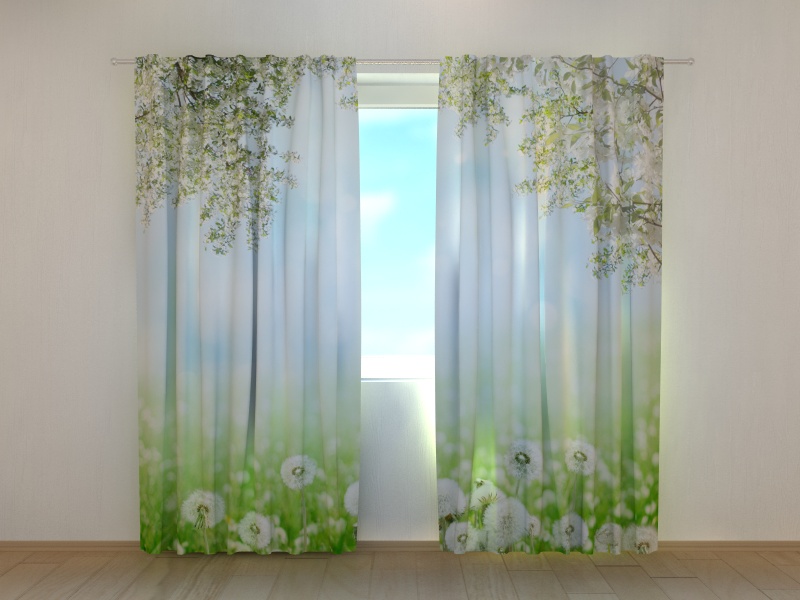 Photo curtains White Dandelions