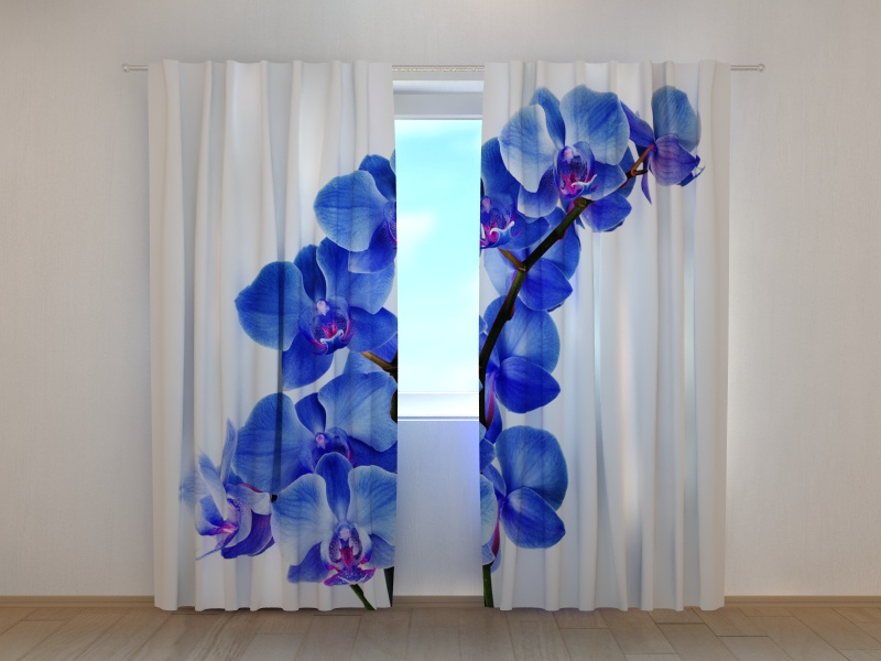 Photo curtains Blue Orchid