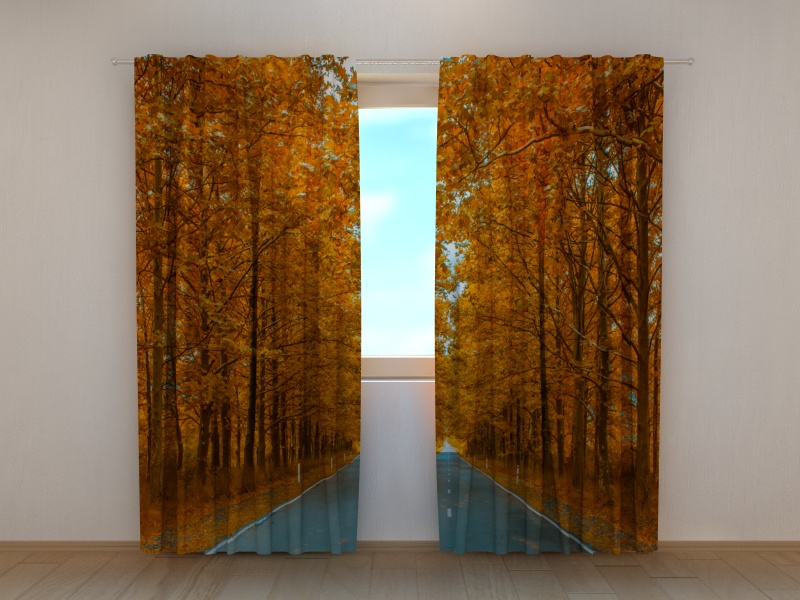 Photo curtains Road