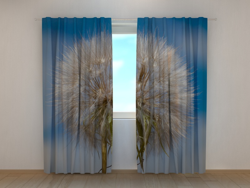 Photo curtains Sky Dandelion