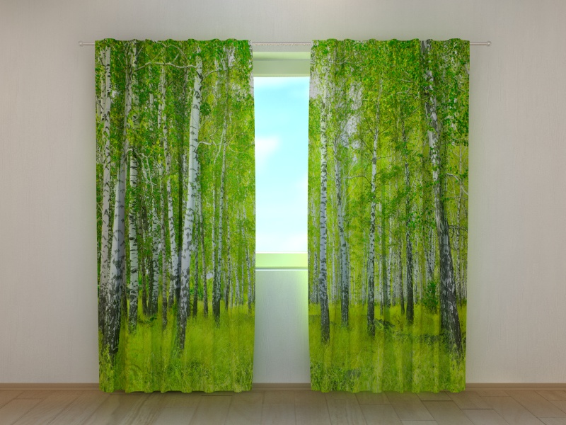 Photo curtains Birch Grove