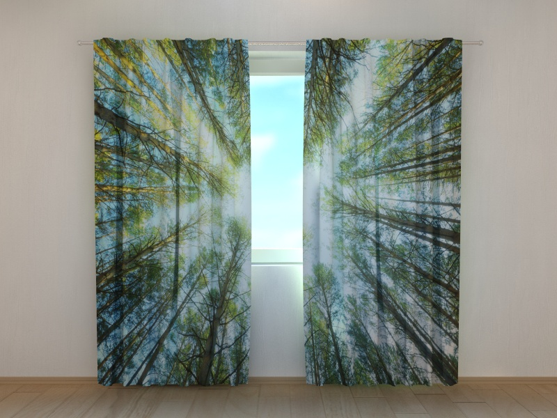Photo curtains  Treetops