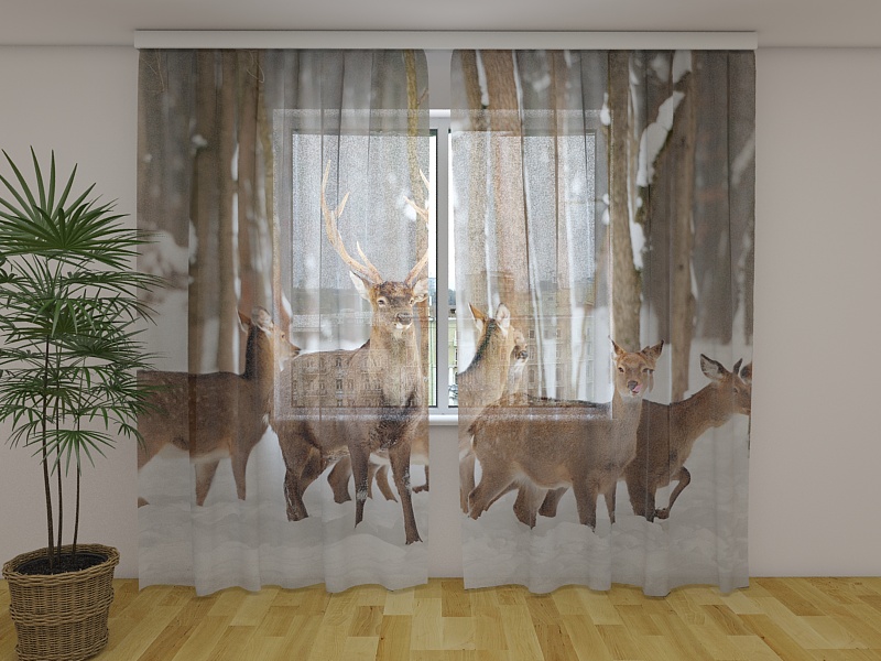 Photo curtains Deer in Winter