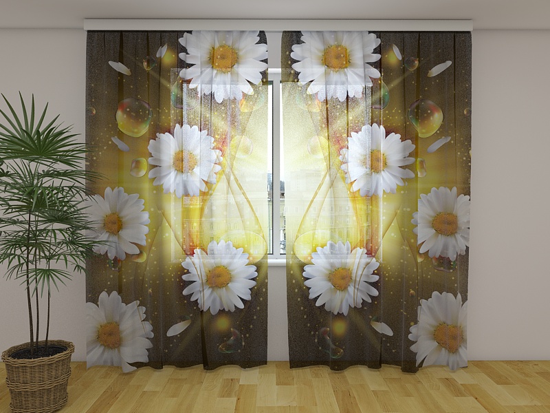 Photo curtains Abstract Chamomile Flowers