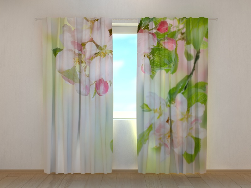 Photo curtains  Quince Tree in Blossom