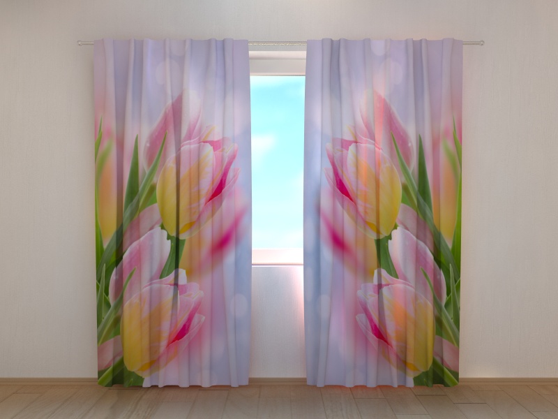 Photo curtains First Tulips