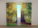 Photo curtains Big Green Tree