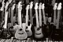 MS-5-0303 Guitars Collection