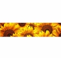 KI-051 Sunflowers