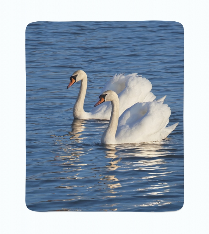 Fleece Blanket White Swans