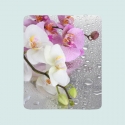 Flīsa pleds Orhidejas un lietus