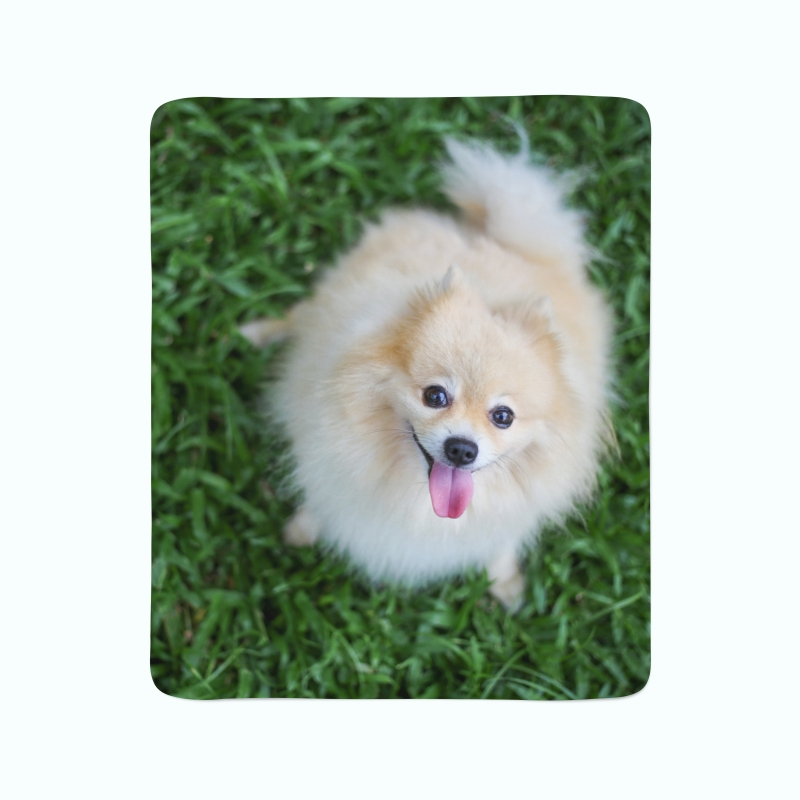 Флисовый плед Счастливая померанская собака