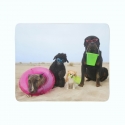 Flīsa pleds Suņi atpūšas pludmalē