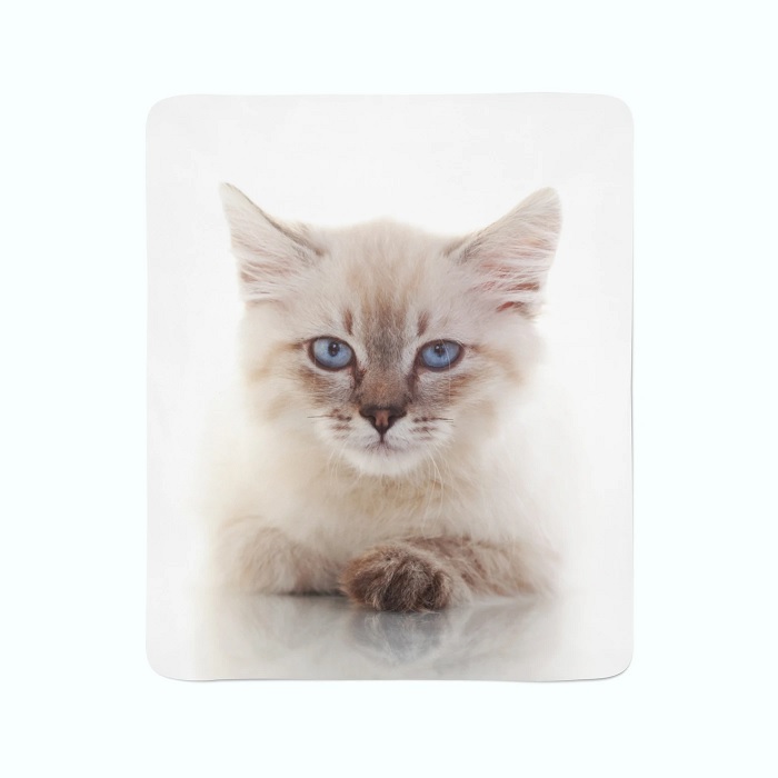 Fleece Blanket Blue-eyed Cat