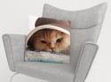Spilvendrānas Kaķis cepurē