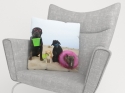 Pillowcase Dogs Resting on a Beach
