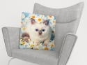Pillowcase Kitten