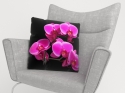 Spilvendrānas Orhidejas zars