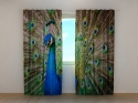 Photo curtains 3D Amazing Peacock