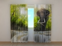 Photo curtains 3D Big Elephant