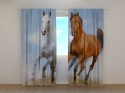 Photo curtains Dyad