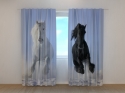 Photo curtains Horse 1