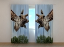 Photo curtains Giraffe