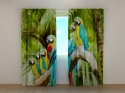 Photo curtains Parrots